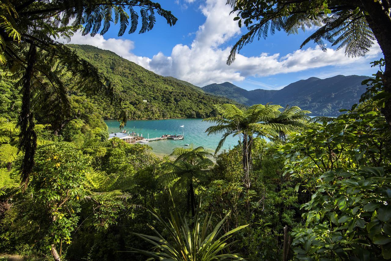 Punga Cove Resort Endeavour Inlet Exterior photo